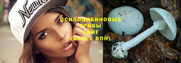 метадон Алексин