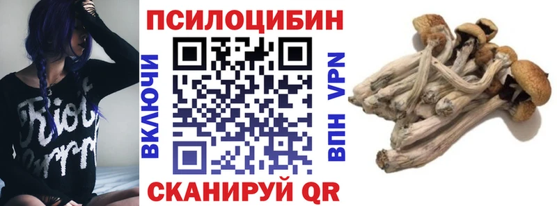 Галлюциногенные грибы Cubensis Казань