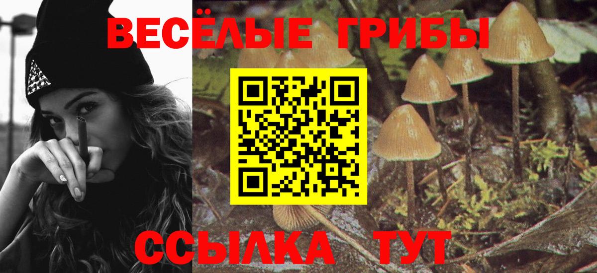 Галлюциногенные грибы мухоморы Казань